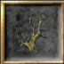 dragrot