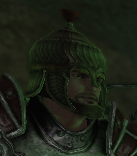 helm z nosalem