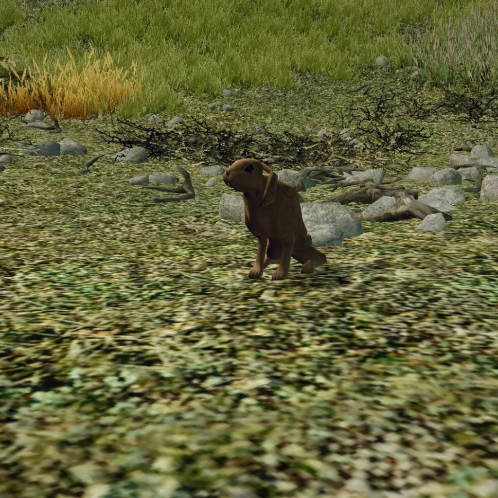 G3 CSP Brazowy zajac 2024