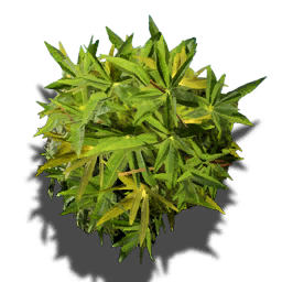 T ItemIcon ItFo Plants Dewleaf