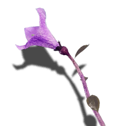 T ItemIcon ItFo Plants Lobelia