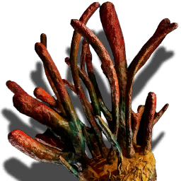 T ItemIcon ItFo Plants OrcSpore