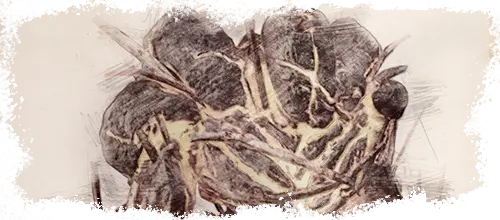 Bestiariusz Gothic Remake 19 G1R Ognisty Golem Szkic