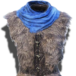 GothicUp T ItemIcon Org Armor Top L 01