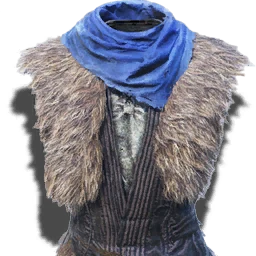 GothicUp T ItemIcon Org Armor Top L 02