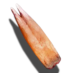 GothicUP G1R Jezyk ognia