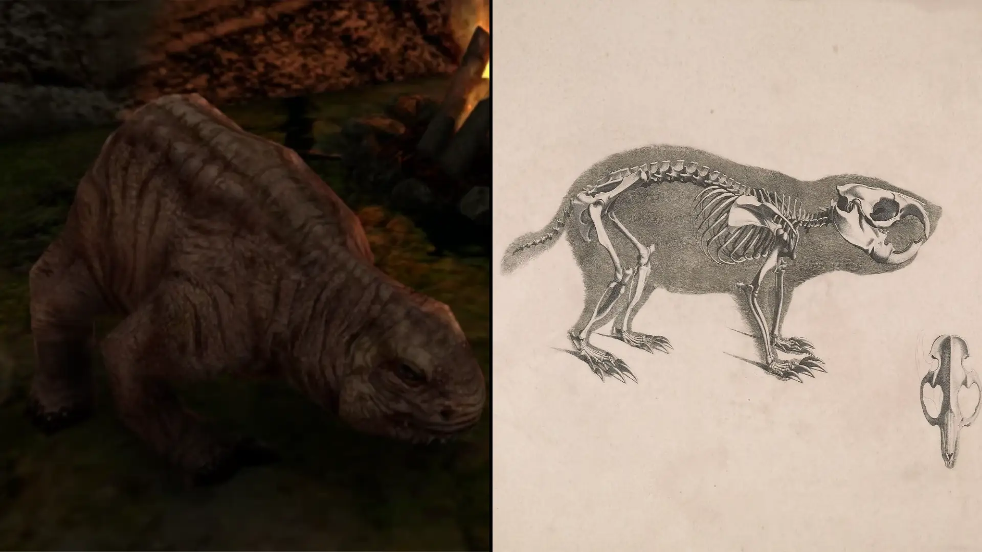 bestiariusz kretoszczur