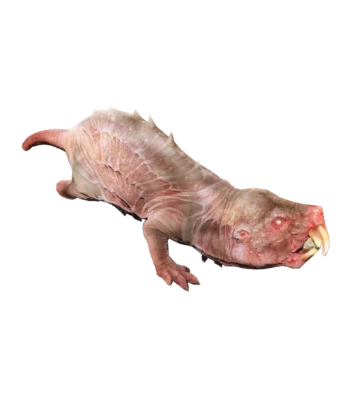 GothicUp Kretoszczur Fallout