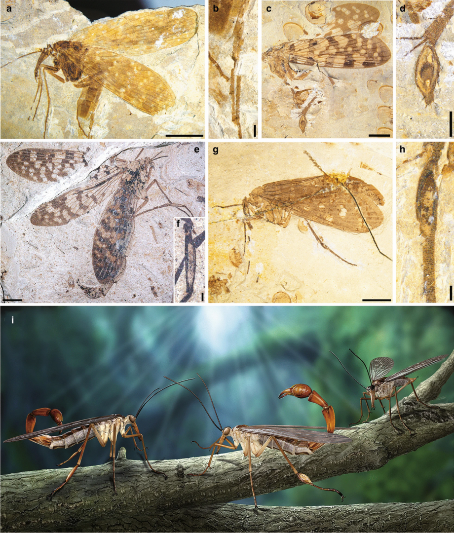 obraz 2026 02 20 225827351