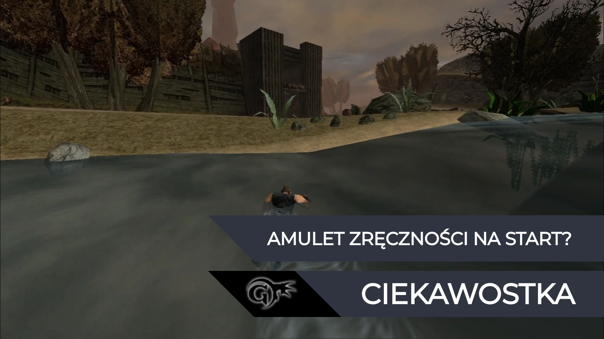 Gothic 1 amulet zręczności