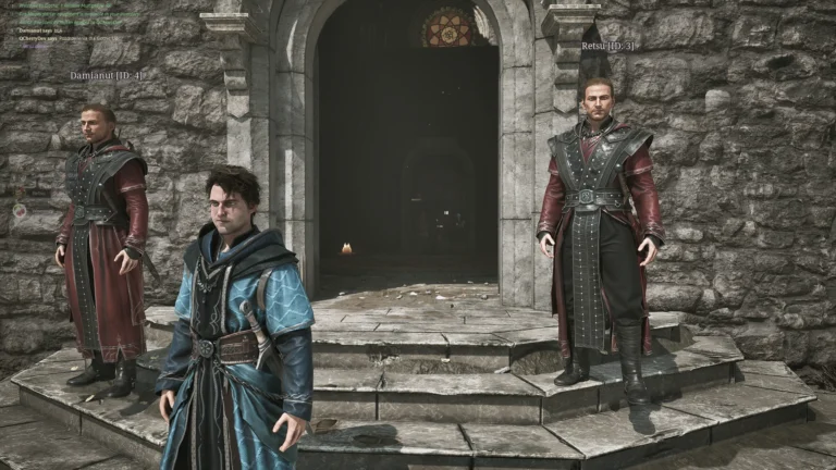Gothic Remake multiplayer